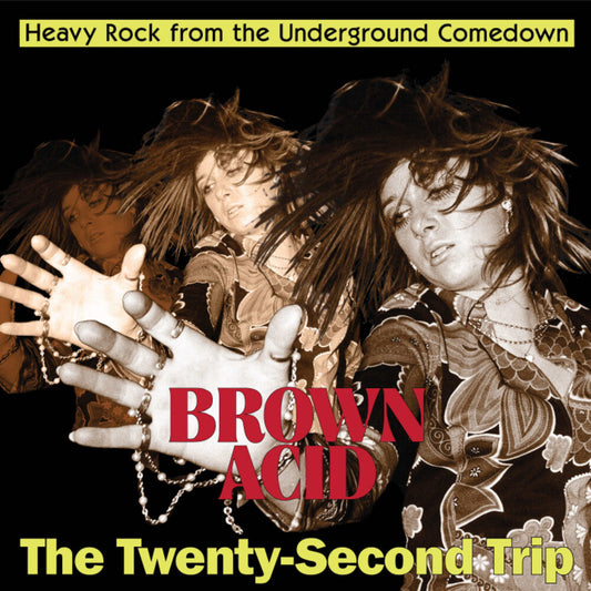 Brown Acid - Twenty-Second Trip / Various- Brown Acid - The Twenty-Second Trip (Various Artists) [ VINYL LP ]
