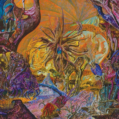 Chytridiomycosis Relinquished - Orange/royal Blue [ VINYL LP ]