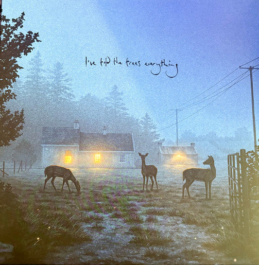 Dermot Kennedy- I've Told The Trees Everything [ VINYL LP ]
