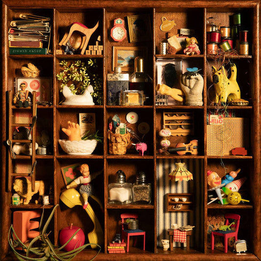 Mediocre- Growth Eater [ VINYL LP ]