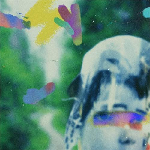 Team Me- Something In The Making [ VINYL LP ]