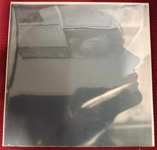 Sarah Blasko- I Just Need To Conquer This Mountain [ VINYL LP ]