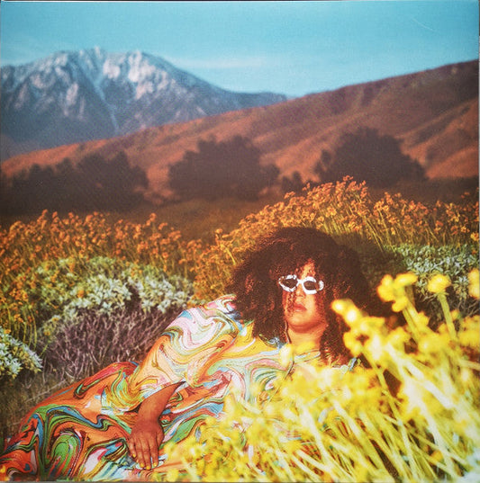 Brittany Howard- What Now [ VINYL LP ]