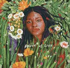 Joy Oladokun- Proof Of Life (Indie Exclusive Vinyl) (Signed Insert) [ VINYL LP ]