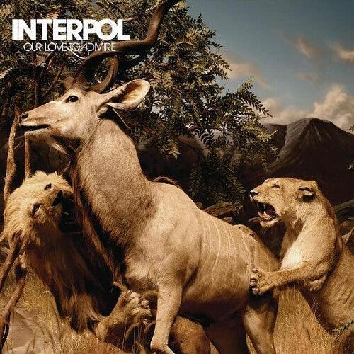 Interpol- Our Love To Admire [ VINYL LP ]