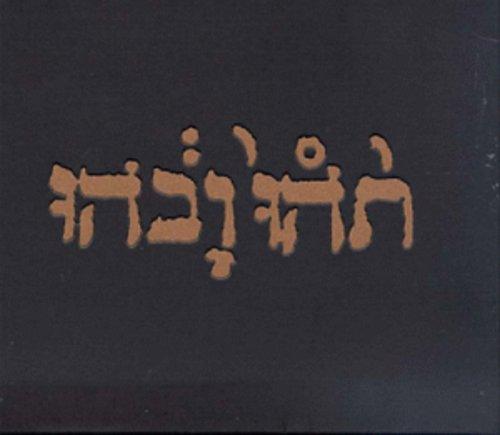 Godspeed You! Black Emperor- Slow Riot For New Zero Kanada E.P. [ VINYL LP ]
