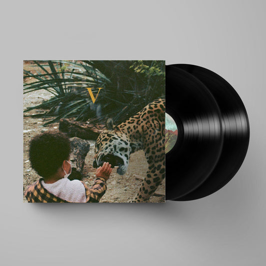 Unknown Mortal Orchestra- V [ VINYL LP ]