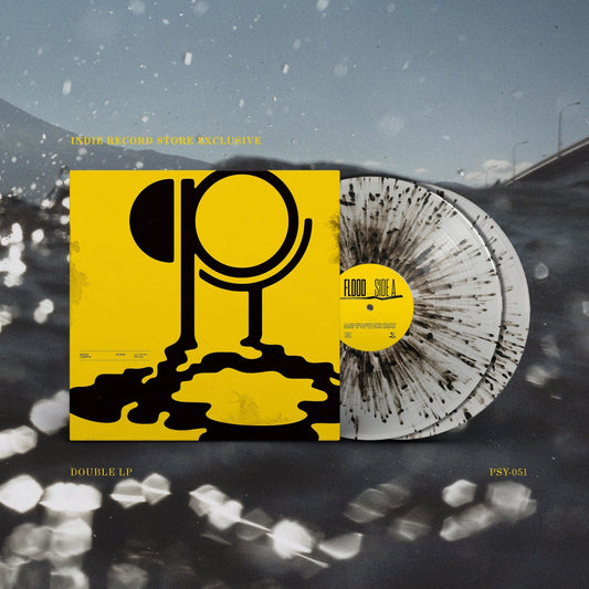 Hippo Campus- Flood (Indie Exclusive Vinyl) (Clear Galaxy 2x Vinyl LP) [ VINYL LP ]